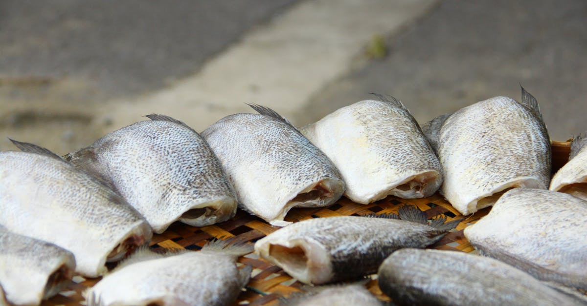 découvrez les meilleures méthodes pour préserver la courge (squash), incluant astuces de conservation, congélation et mise en bocaux, afin de profiter de sa saveur toute l'année.