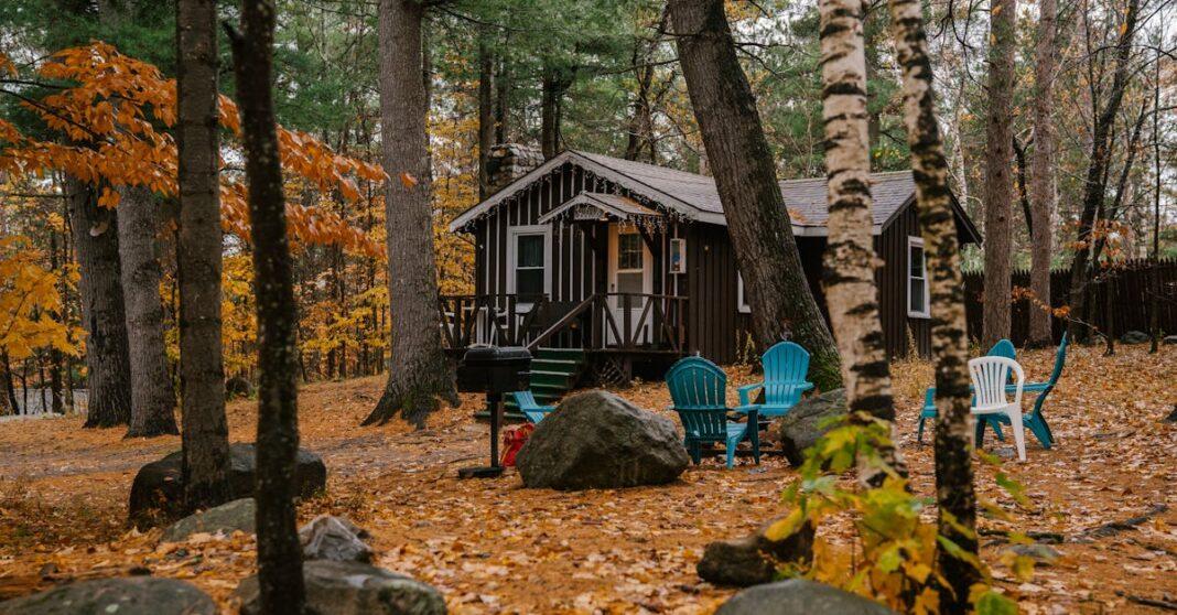 découvrez le pin parasol, aussi appelé stone pine, un arbre majestueux reconnu pour sa silhouette élégante, ses pignons savoureux et son rôle essentiel dans les paysages méditerranéens.