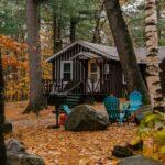 découvrez le pin parasol, aussi appelé stone pine, un arbre majestueux reconnu pour sa silhouette élégante, ses pignons savoureux et son rôle essentiel dans les paysages méditerranéens.