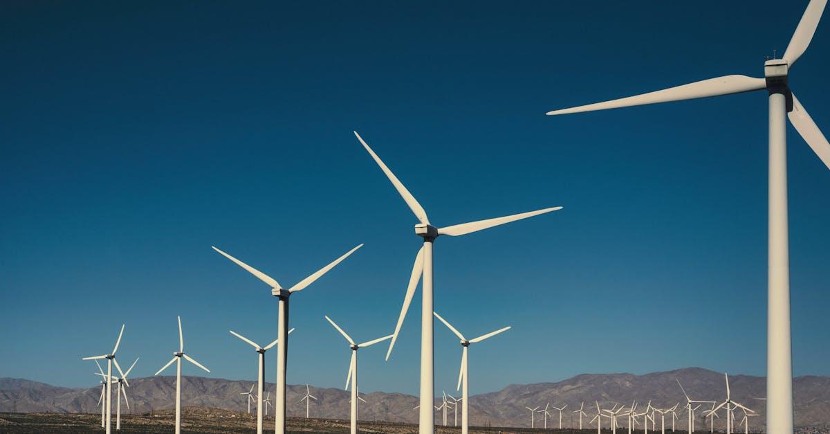 découvrez des alternatives durables pour adopter un mode de vie écoresponsable. optez pour des solutions respectueuses de l'environnement et contribuez à la préservation de la planète grâce à nos conseils pratiques.