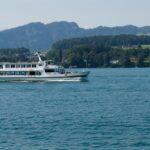 découvrez la bette à carde, aussi appelée swiss chard, un légume-feuille riche en nutriments, parfait pour des recettes saines et savoureuses. idéal pour une cuisine équilibrée et colorée !