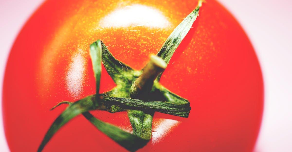 découvrez tout sur la tomate : ses origines, ses bienfaits pour la santé, des conseils de culture, et des idées de recettes savoureuses pour profiter pleinement de ce fruit incontournable en cuisine.