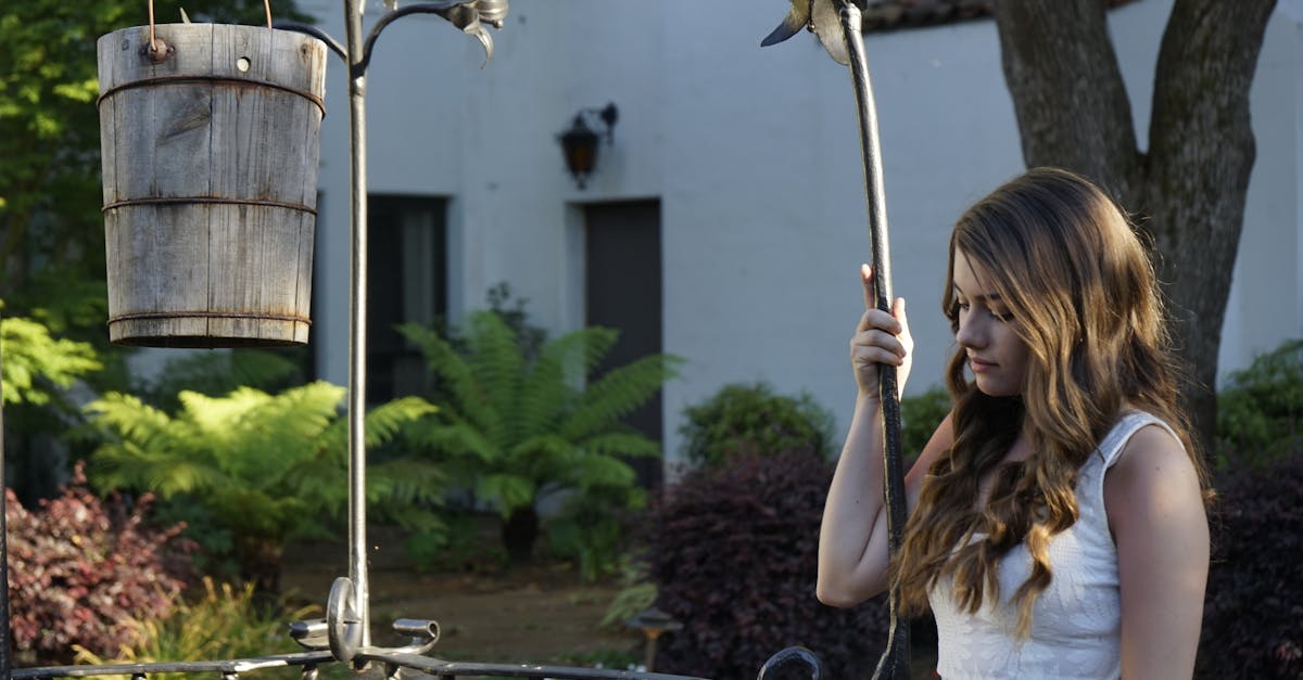 découvrez la fougère arborescente, une plante spectaculaire appréciée pour son feuillage luxuriant et sa silhouette élégante, idéale pour apporter une touche exotique à votre jardin ou intérieur.