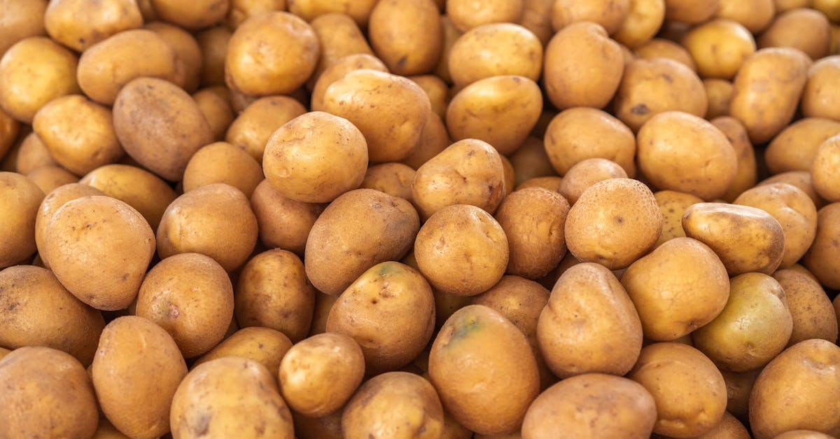 découvrez tout ce qu'il faut savoir sur les tubercules : variétés, bienfaits nutritionnels et conseils pour les cuisiner facilement dans vos repas quotidiens.