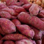 découvrez tout sur les tubercules : variétés, bienfaits nutritionnels et conseils pour les cuisiner facilement. adoptez ces aliments sains et savoureux dans votre quotidien !