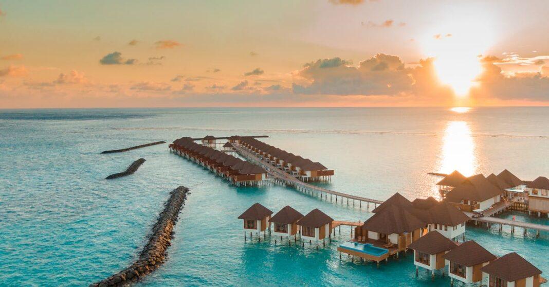 découvrez les meilleures stratégies d'optimisation pour votre programme vine sur amazon. améliorez vos avis produits, augmentez votre visibilité et boostez vos ventes grâce à des conseils pratiques et efficaces.