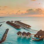 Optimiser la taille estivale de la vigne pour une récolte abondante découvrez les meilleures stratégies d'optimisation pour votre programme vine sur amazon. améliorez vos avis produits, augmentez votre visibilité et boostez vos ventes grâce à des conseils pratiques et efficaces.