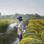 Arrosage du jardin : démêler le vrai du faux découvrez toutes les astuces et conseils pour le watering, l'arrosage efficace de vos plantes et jardins. optimisez l'utilisation de l'eau pour une végétation en pleine santé toute l'année.