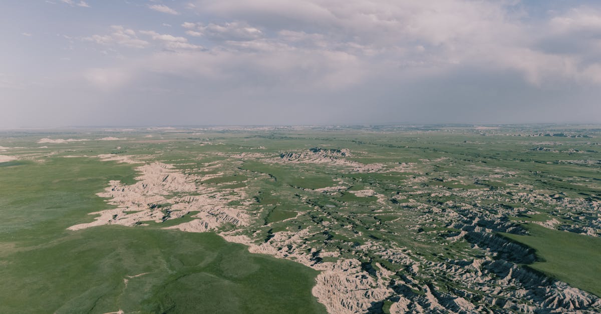 découvrez les meilleures méthodes pour conserver les courgettes et profiter de leur fraîcheur toute l'année : congélation, stérilisation, déshydratation et astuces pratiques.