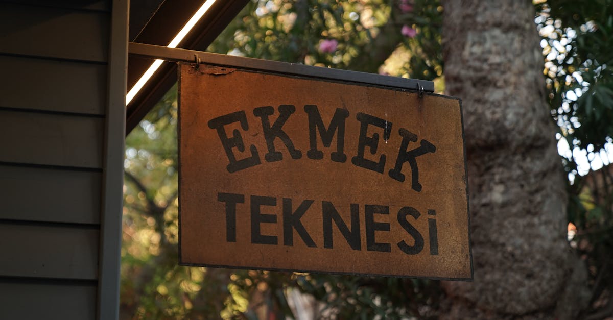 découvrez toutes les méthodes simples et efficaces pour conserver les courgettes, afin de profiter de leur fraîcheur et de leur saveur tout au long de l'année.