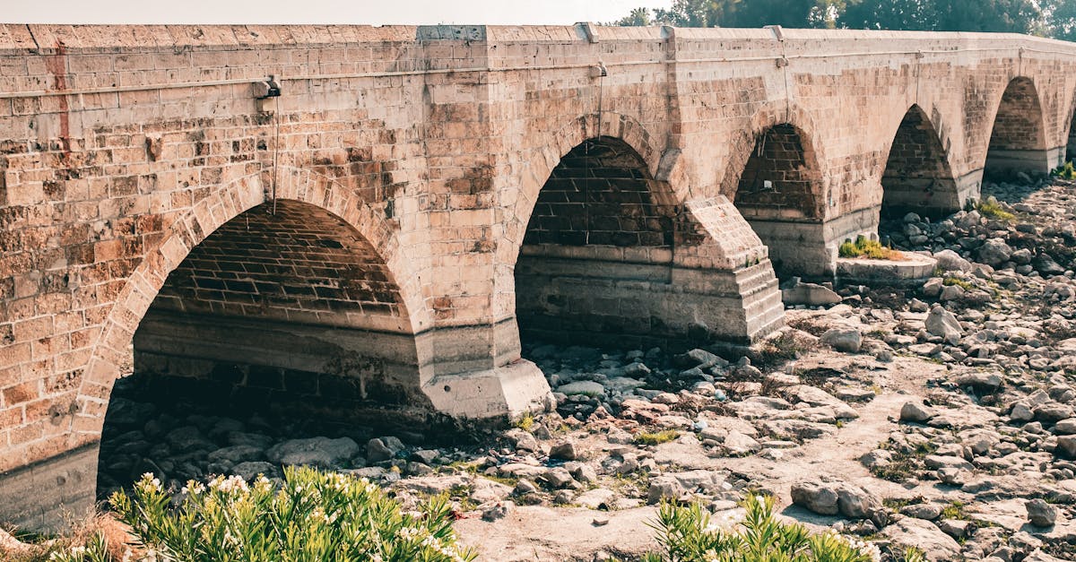 découvrez des méthodes efficaces pour conserver les courgettes, prolonger leur fraîcheur et profiter de leur goût toute l'année grâce à nos conseils faciles de préservation.
