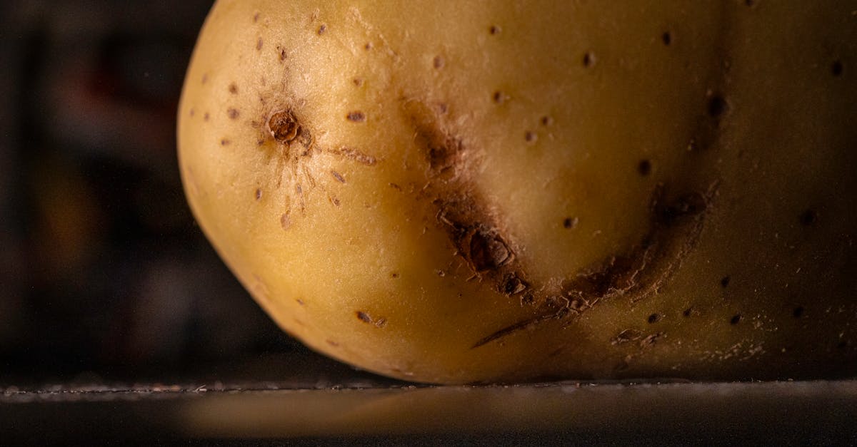 découvrez comment cultiver la pomme de terre amandine : conseils de plantation, entretien, récolte et astuces pour obtenir des tubercules savoureux dans votre jardin.