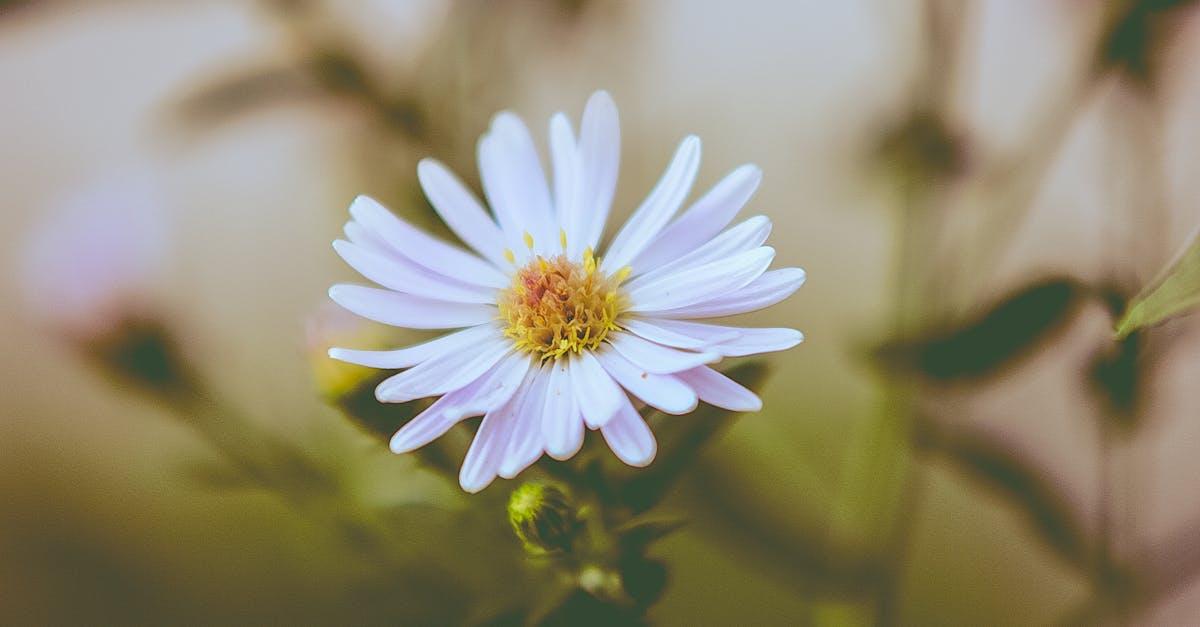 découvrez tout sur aster : fonctionnalités, avantages et conseils pour optimiser votre organisation de projet grâce à cette solution innovante.