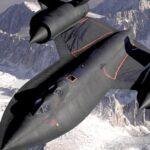 À la découverte du merle noir, un oiseau emblématique de nos jardins découvrez le blackbird, un oiseau emblématique connu pour son plumage noir brillant et son chant mélodieux. apprenez-en plus sur son mode de vie, son habitat et sa symbolique.