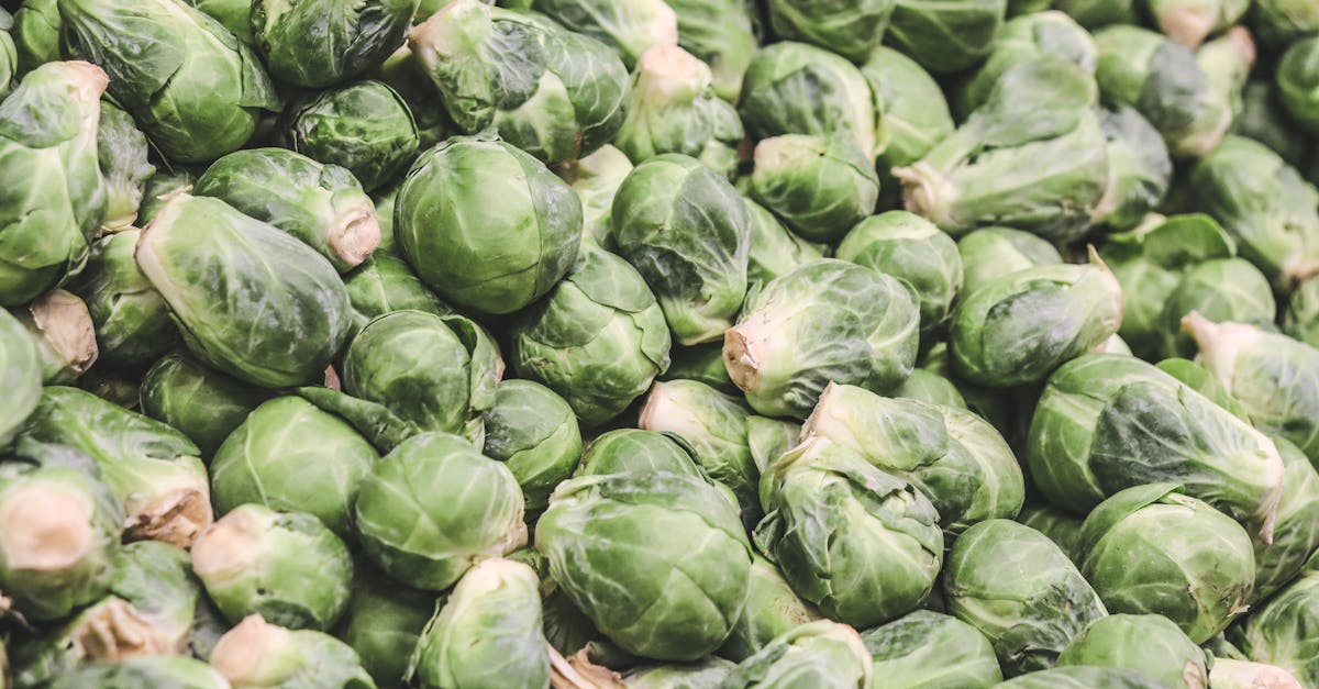 découvrez tout sur les choux : variétés, bienfaits pour la santé, conseils de culture et idées de recettes pour intégrer ce légume polyvalent à votre alimentation.