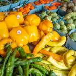 découvrez tout sur les choux : leurs variétés, bienfaits pour la santé, conseils de culture et astuces de préparation pour des recettes savoureuses et équilibrées.