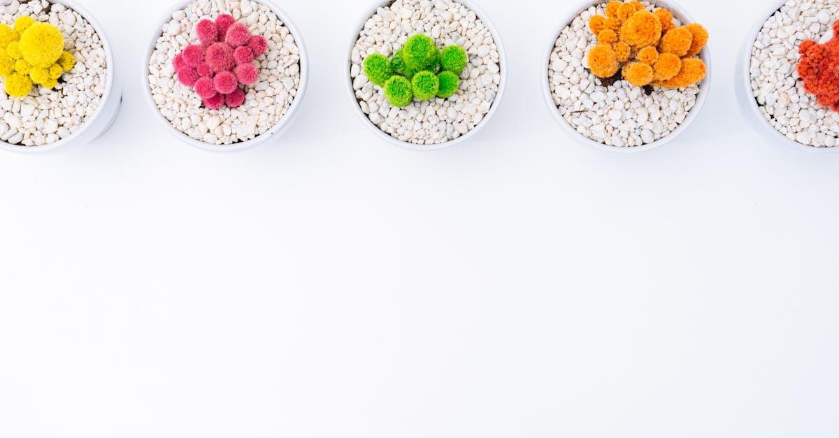 découvrez cacti, une solution de supervision réseau puissante permettant de surveiller vos équipements et d’analyser la performance grâce à des graphiques détaillés. idéal pour la gestion et l’optimisation de votre infrastructure informatique.