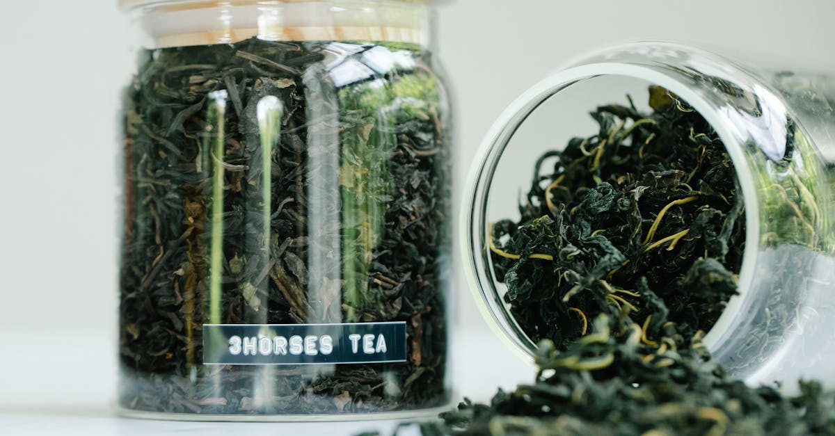 découvrez tout sur les camélias : conseils de plantation, entretien facile, variétés colorées et astuces pour profiter de leur floraison élégante dans votre jardin ou en pot.