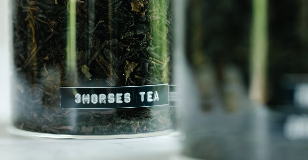 découvrez tout sur les camélias : conseils de plantation, variétés, entretien et astuces pour profiter de leurs magnifiques fleurs dans votre jardin.