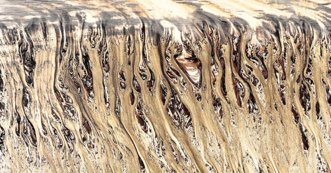 découvrez capability brown, célèbre paysagiste anglais du xviiie siècle, reconnu pour ses jardins naturels et ses aménagements qui ont transformé les paysages de nombreux châteaux en angleterre.