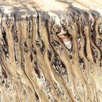 découvrez capability brown, célèbre paysagiste anglais du xviiie siècle, reconnu pour ses jardins naturels et ses aménagements qui ont transformé les paysages de nombreux châteaux en angleterre.