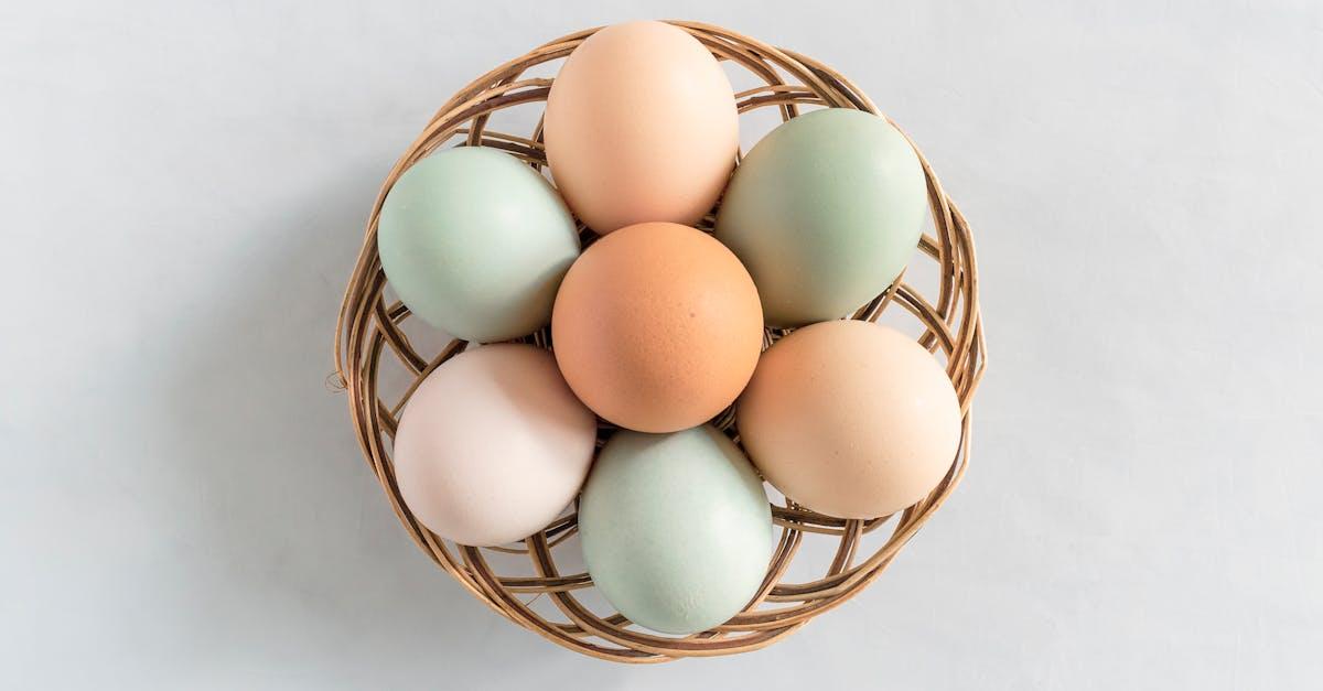 découvrez tout sur les œufs colorés : idées de décoration, techniques naturelles et conseils pour réussir vos œufs de pâques colorés en famille.