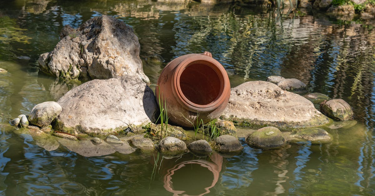 découvrez une sélection d'arbustes pour pots et jardinières : conseils pour choisir, planter et entretenir des container shrubs pour sublimer terrasses et balcons toute l'année.