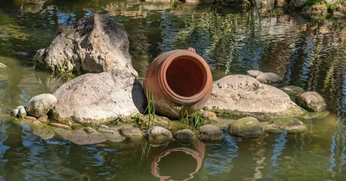 découvrez une sélection d'arbustes pour pots et jardinières : conseils pour choisir, planter et entretenir des container shrubs pour sublimer terrasses et balcons toute l'année.