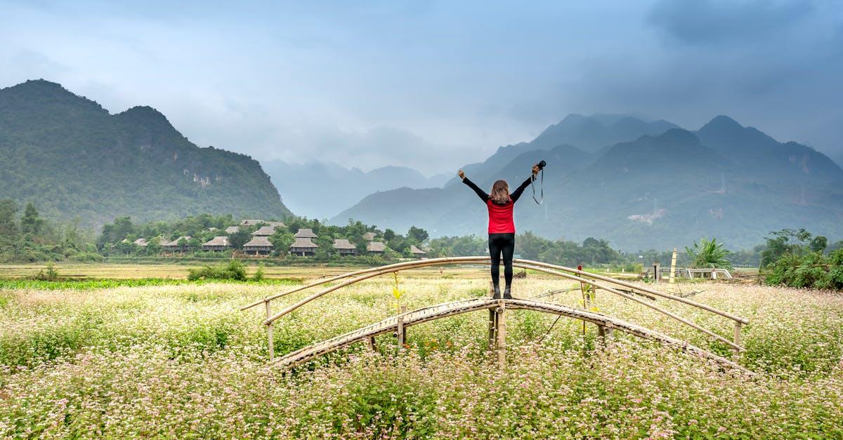 découvrez le charme intemporel des jardins de campagne : idées d’aménagement, conseils de plantation et inspirations pour créer un espace naturel, fleuri et convivial.