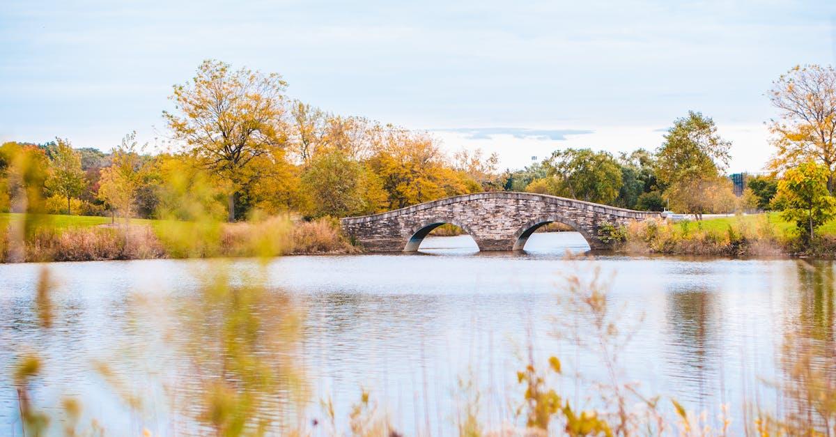 découvrez la beauté des jardins de campagne : idées d’aménagement, conseils pour créer un espace naturel et inspirant, et astuces pour entretenir un jardin champêtre tout au long de l’année.