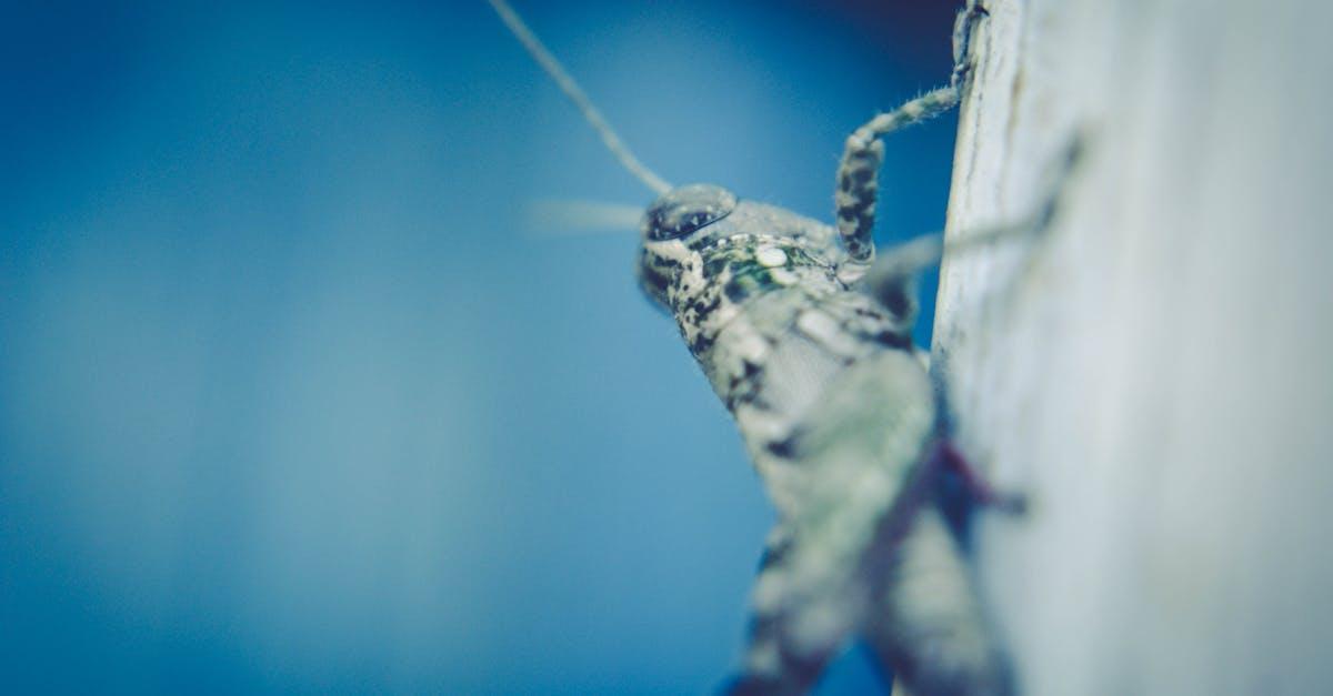 découvrez tout sur le cricket : règles du jeu, histoire, compétitions majeures, joueurs légendaires et conseils pour débuter. plongez dans l’univers passionnant du cricket dès aujourd’hui !