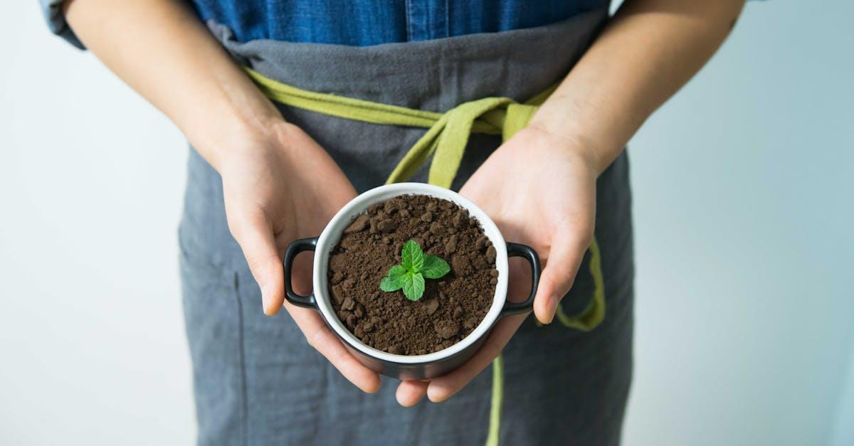 découvrez tout ce qu’il faut savoir sur la cultivation : méthodes, conseils pratiques et astuces pour réussir la culture de vos plantes, fruits ou légumes, que vous soyez débutant ou passionné de jardinage.