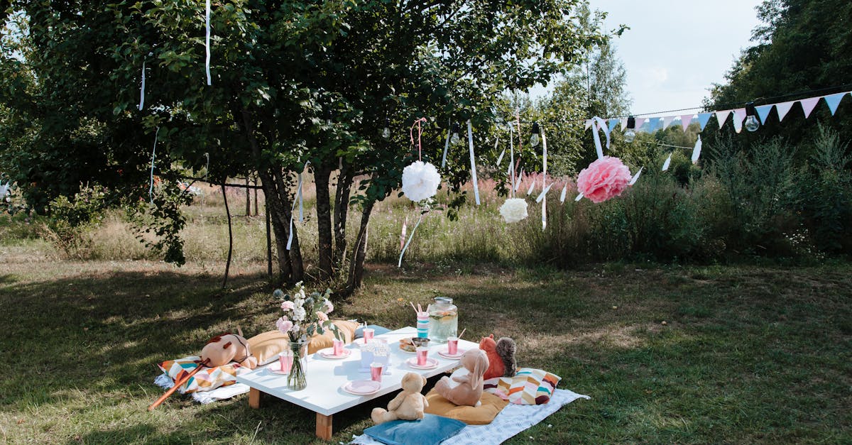 découvrez des jardins enchanteurs où la nature se mêle à la magie : idées d’aménagement, conseils de plantation et inspirations pour créer votre oasis féérique.