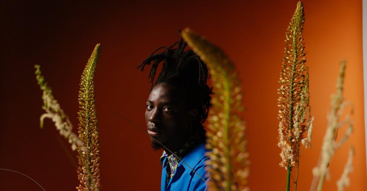 découvrez l'eremurus, aussi appelé lis des steppes : une plante vivace spectaculaire appréciée pour ses longues hampes florales élancées. conseils de culture, plantation et entretien pour profiter d'une floraison éblouissante au jardin.