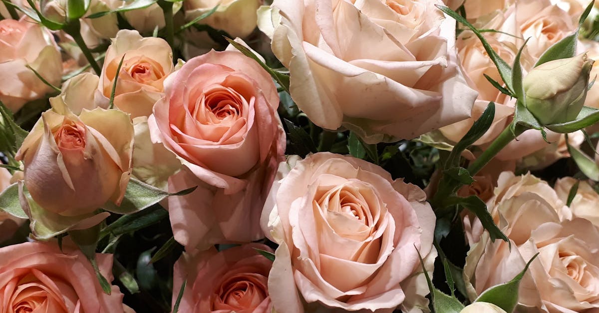 découvrez notre sélection de cadeaux parfaits pour les jardiniers : accessoires, outils pratiques et idées originales pour faire plaisir à tous les passionnés de jardinage !