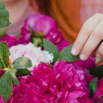 découvrez les meilleures idées de cadeaux pour les passionnés de jardinage : outils originaux, accessoires pratiques et décorations pour ravir tous les jardiniers, débutants ou confirmés.