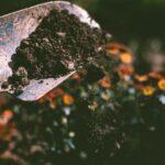 Comment établir son propre potager avec succès découvrez des conseils, astuces et idées pour le jardinage afin d'embellir votre espace extérieur, cultiver vos propres plantes et profiter d'un jardin fleuri toute l'année.