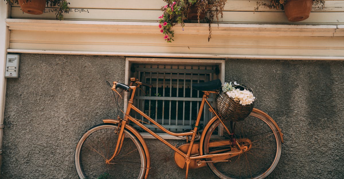 découvrez tout sur les géraniums : conseils d’entretien, variétés, plantation et astuces pour des fleurs éclatantes dans votre jardin ou sur votre balcon toute l’année.