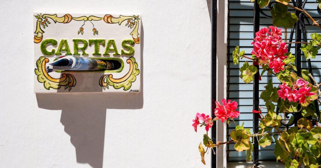 découvrez tout ce qu’il faut savoir sur les géraniums : conseils de plantation, entretien facile et astuces pour des fleurs éclatantes dans votre jardin ou sur votre balcon.