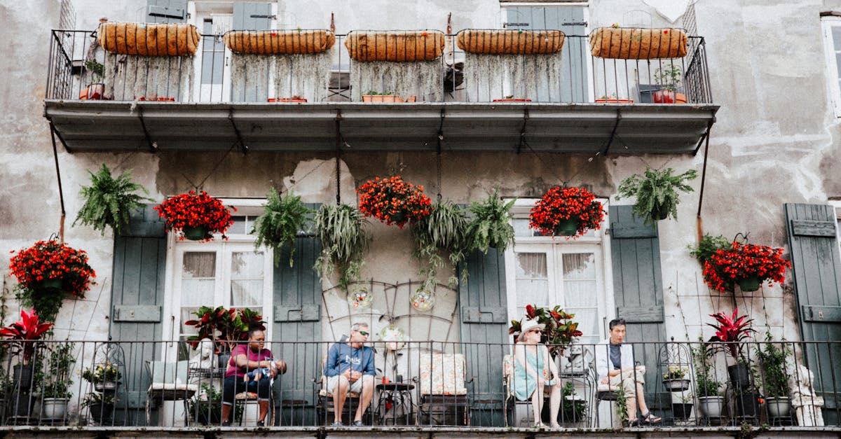 découvrez tout sur les géraniums : variétés, conseils de plantation et d'entretien, astuces pour une floraison abondante en jardin ou en balcon. idéal pour des espaces fleuris toute l'année.