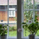 Soignez votre balcon avec ces 12 idées créatives pour mettre en valeur vos géraniums découvrez tout sur les géraniums : conseils d’entretien, plantation, variétés et astuces pour obtenir des fleurs éclatantes tout l’été, en jardinière ou en pleine terre.