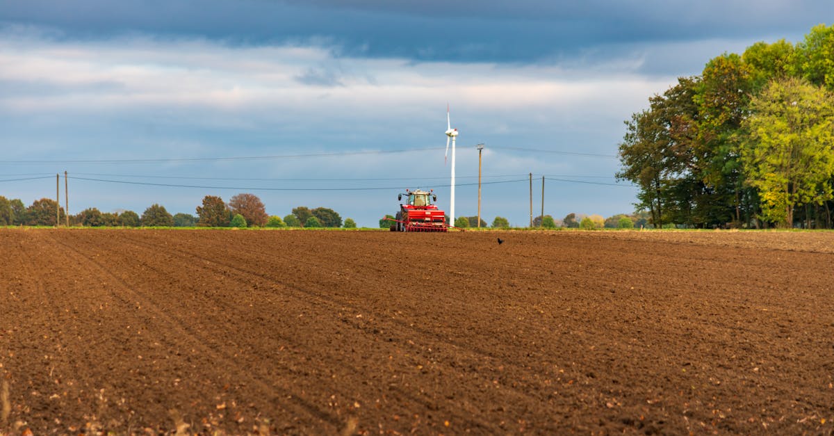 découvrez les bases de la culture du houblon : conseils, techniques et étapes essentielles pour réussir la plantation et l’entretien de cette plante prisée dans la fabrication de la bière.