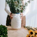 découvrez tout sur les hydrangeas, ces magnifiques arbustes à fleurs. conseils de plantation, entretien et idées pour embellir votre jardin avec les différentes variétés d’hortensias.