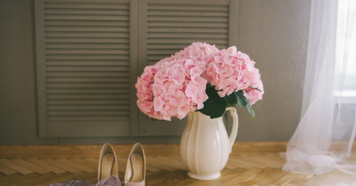 découvrez tout sur les hortensias : conseils d'entretien, variétés, périodes de floraison et astuces pour cultiver ces magnifiques fleurs dans votre jardin.