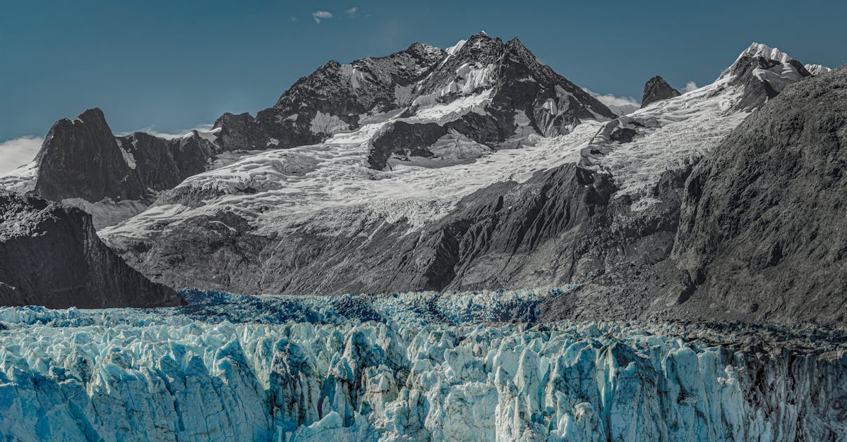 découvrez la laitue iceberg, une salade croquante et rafraîchissante, idéale pour agrémenter vos entrées, sandwichs et salades composées. apprenez ses bienfaits, sa conservation et ses astuces cuisine.