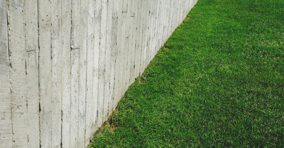 découvrez tout ce qu'il faut savoir sur la pelouse : conseils d'entretien, types de gazon, astuces pour avoir un jardin verdoyant et bien entretenu.