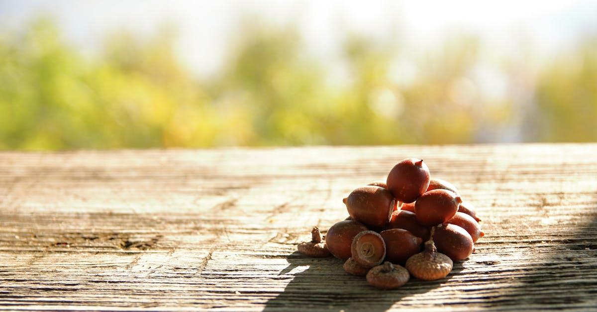 découvrez la lewisia cotyledon, une plante vivace séduisante aux fleurs colorées, idéale pour agrémenter rocailles et jardins secs. conseils de culture, entretien et floraison.