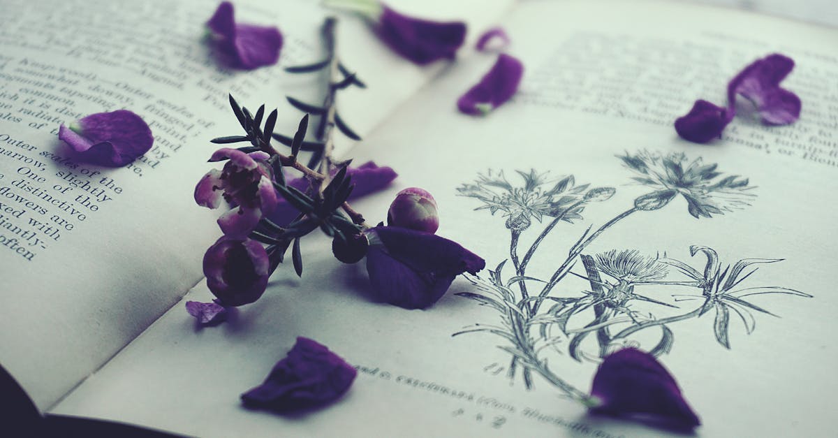 découvrez le lilac, une couleur tendance évoquant douceur et élégance, idéale pour sublimer votre intérieur, votre garde-robe ou vos créations artistiques.