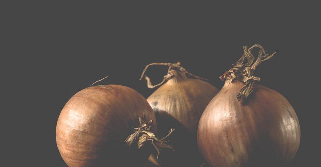 découvrez tout sur les oignons : leurs bienfaits pour la santé, différentes variétés, astuces pour les conserver, ainsi que des idées de recettes savoureuses à essayer chez vous.