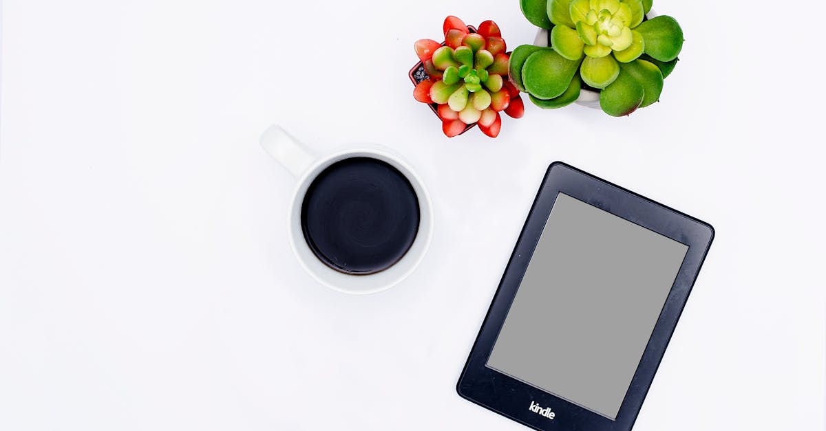 découvrez tout sur les sedums : conseils de culture, variétés, plantation et entretien de ces plantes succulentes idéales pour les jardins secs et les toitures végétalisées.